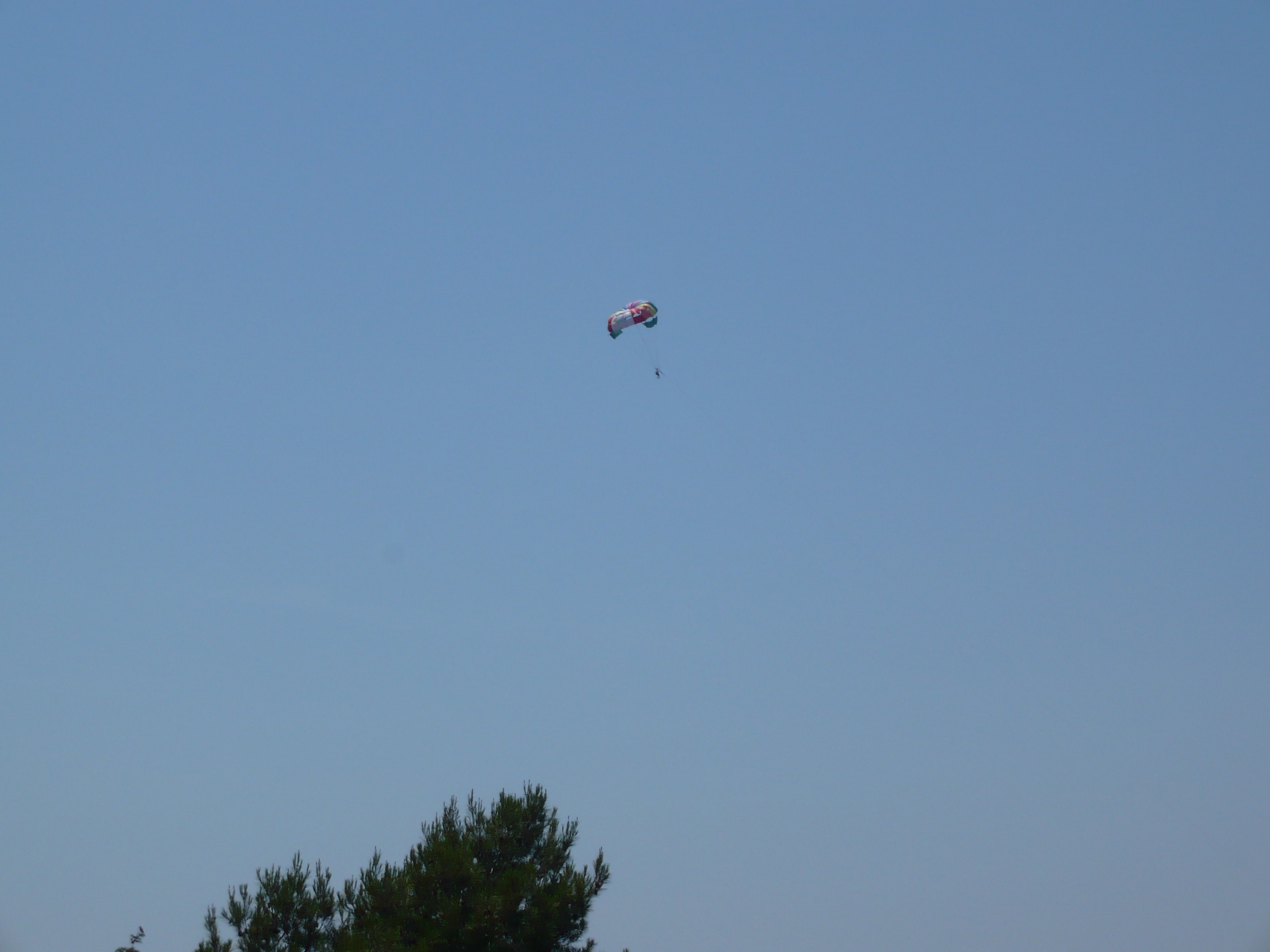 P1000052.JPG