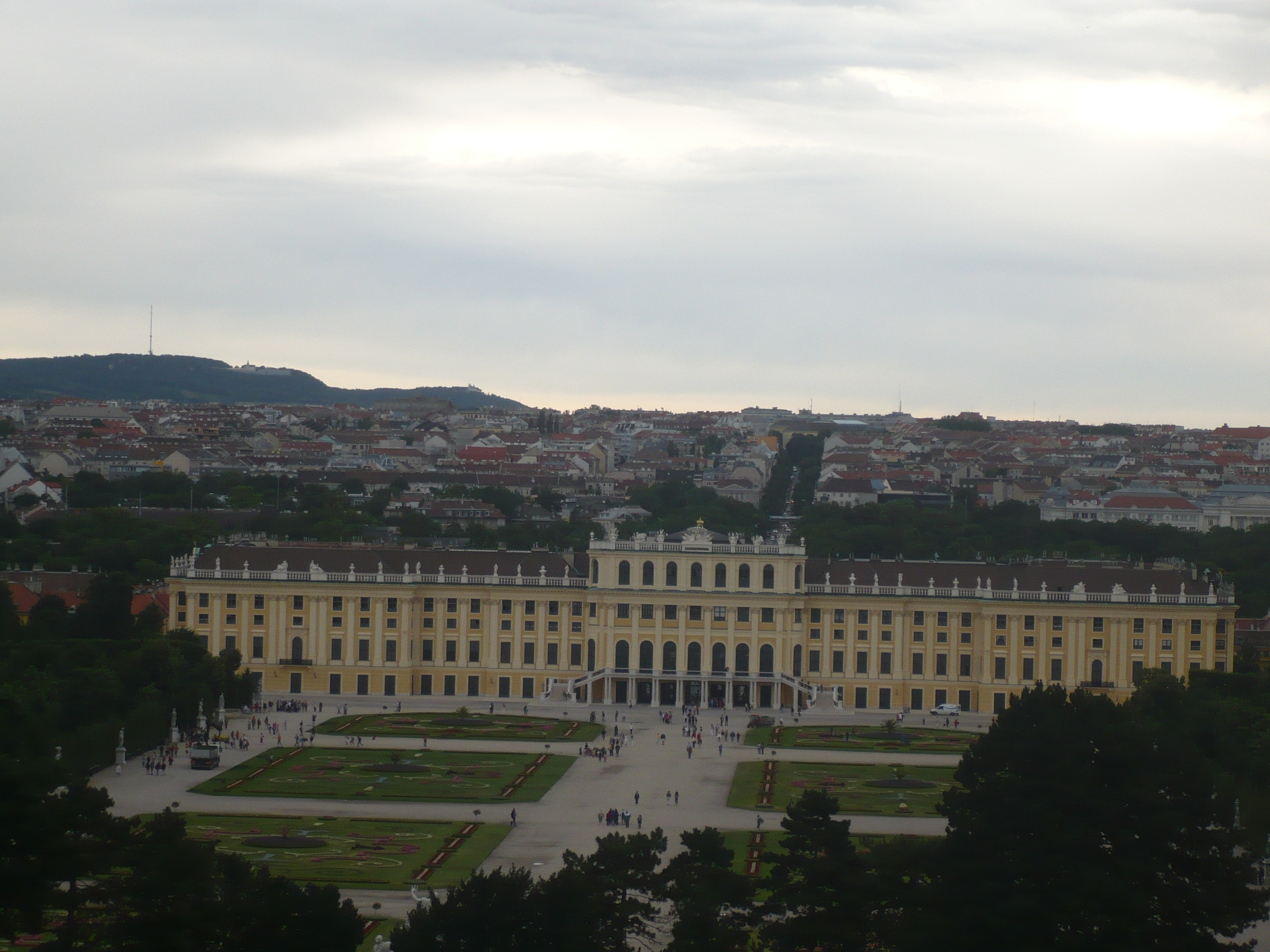 P1000261.JPG